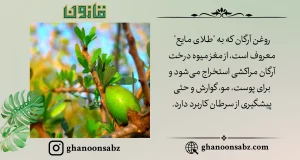روغن آرگان مراکشی با خواص چندمنظوره قانون | قانون سبز