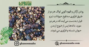فرآوری مشابه روغن آرگان و قهوه کوپی لواک از طریق حیوانات قانون | قانون سبز
