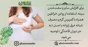 روش مصرف روغن خراطین برای افزایش سایز و سفتکردن سینه قانون | قانون سبز