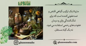 ترکیب گیاهی ماریانا برای تنگکنندگی واژن قانون | قانون سبز