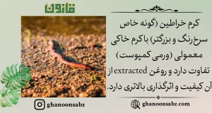 تفاوت کرم خراطین اصیل با کرم خاکی معمولی از نظر گونه و اثرگذاری قانون | قانون سبز