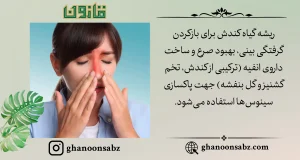 پاکسازی سینوسها با انفیه گیاه کندش قانون | قانون سبز