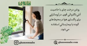 پاکسازی هوا با روغن درخت چای در آروماتراپی قانون | قانون سبز
