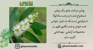 درمان جوش و آکنه با روغن درخت چای استرالیایی قانون | قانون سبز
