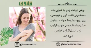بهبود زخم و عفونت با روغن درخت چای و عسل قانون | قانون سبز