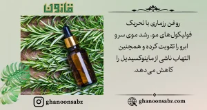 تقویت رشد مو و ابرو با روغن رزماری قانون | قانون سبز
