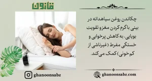 کاهش پرخوابی با چکاندن روغن سیاهدانه در بینی بر اساس قانون | قانون سبز