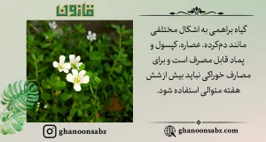 روشهای مصرف و دوز گیاه براهمی قانون | قانون سبز