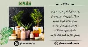 کاربردهای متنوع روغنهای گیاهی با قانون | قانون سبز