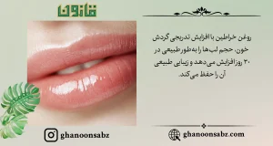 حجمدهی طبیعی لبها با روغن خراطین در ۳۰ روز قانون | قانون سبز