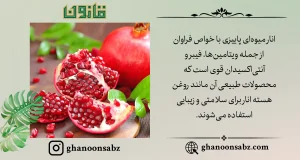 بهرهگیری از روغن هسته انار برای زیبایی و سلامت قانون | قانون سبز