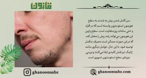 نقش کلیدی تستوسترون و ژنتیک در رشد ریش قانون | قانون سبز