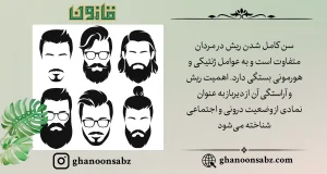 فرآیند رشد ریش با گذر زمان قانون | قانون سبز