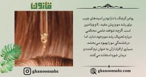 روغن کرچک غنی از ویتامین E برای درخشندگی و سلامت مو قانون | قانون سبز.