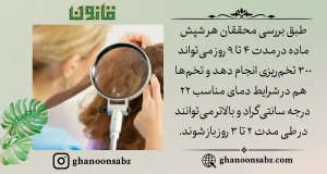 بررسی طول عمر شپش