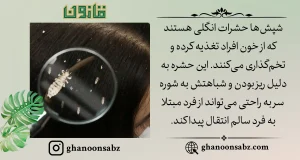 شپش ها حشرات انگلی روی موی سر |قانون سبز
