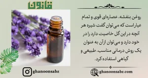 معرفی و ویژگی های روغن بنفشه قانون |قانون سبز
