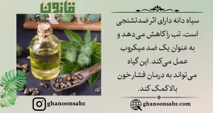 خواص روغن سیاه دانه قانون | قانون سبز