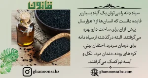 فواید روغن سیاه دانه قانون | قانون سبز