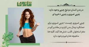 لاغری شکم با چربی مفید