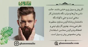 روغن ریش قانون برای نرمی ریش
