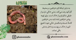 روش تهیه و بدست آوردن روغن خراطین