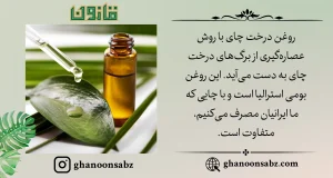 روش عصاره گیری روغن درخت چای