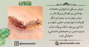 شایعترین معضلات شپش