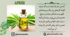 روغن کندش برای مو_رویش_کچلی